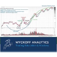 [Full Course] Wyckoff Trading – Wyckoff Analytics – SPRING Course 2019