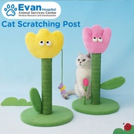 Cat Scratching Post Cactus Vertical Cat Scratching Board Cat cat Tree Cat Climbing Post Cat Claw Boa