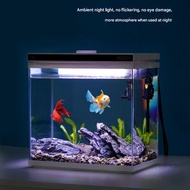 Glass Aquarium with Dry/Wet Separation Oxygen Filter Complete Set No Water Change Goldfish Tank