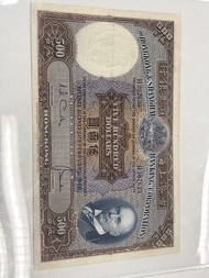 500光頭佬