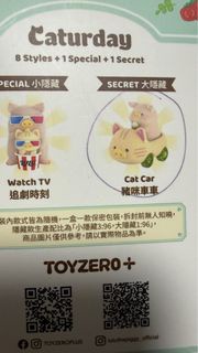 罐頭豬 Lulu 豬大隱藏 豬咪車車 Caturday Cat car Secret
