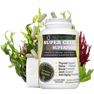 Super Cell Superfood Sea Moss – USDA Certified Organic Sea Moss Capsules for Men and Women – Advance
