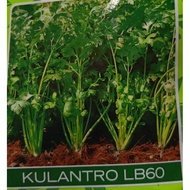 Kulantro repack 20 seeds