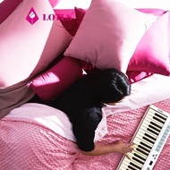 LOTUS ผ้าห่ม 2ฤดู ECO FUR รุ่น L-ECO-03 ขนาด 60x80 นิ้วส่งฟรี As the Picture One