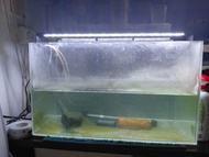 魚缸連水泵，燈，上過濾，溫度計。