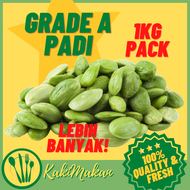 Petai.My - Petai Segar Kopek Gred A Padi - 1KG Pek (4 x 250GM)