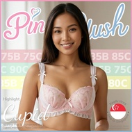 『Ship out 24h』Japanese Plus Size Underwire Bra Cupid Embroidery Three Color Ribbon 大码内衣 75B 80B 80C 