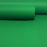 SHANNAIER | Event Green Temporary Carpet