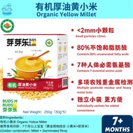 Buds N' Buds Organic Yellow Millet 250g 7m+ 芽芽乐 有机厚油黄小米/小黄米（宝宝有机米/Baby Rice) TianTianRiceKL天天米好