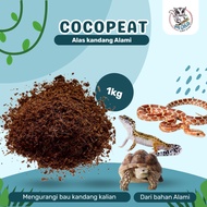 MORA Cocopeat 1 kg | Reptile, Gecko, Tortoise Bedding Natural Coconut Fiber Sterile & Moist