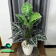 DAUN AGLONEMA ARTIFICIAL DAUN KELADI PLASTIK POT BUNGA HIAS ARTIFISIAL DAUN KELADI HIAS DEKORASI POH