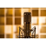Studio Condenser Microphone BM-800