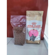 Royal canin beritish kitten repack 1kg cat food df