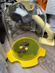 Lego 71426 食人花 展示玻璃盒