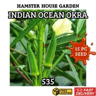 HSK [15pc] F1 HIBRID OKRA INDIAN OCEAN 535 SEED BIJI BENIH BENDI