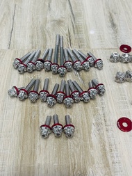 COMBO FULL ỐC LỐC MÁY SALAYA RAIDER SATRIA FI KÈM LÔNG ĐỀN ĐỎ