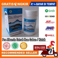 PRO ALBUMIN EKSTRAK IKAN GABUS  KUTUK KAPSUL isi 50 kapsul 100 % asli original