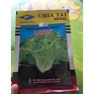 benih mustard green sayur pait sawi pait sawi pahit lotus
