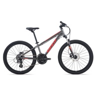 GIANT 2022 XTC 24D1 mountain bike