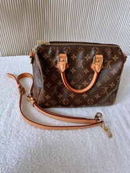 LV Speedy 25 Handbag