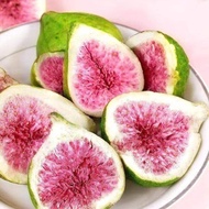 Dried Fig Crispy Fruit Slices