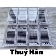 Katun 5D eyelash fan thickness 0.07 - eyelash extension tool - thuy han