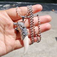 Kalung dan Liontin Bentuk Taring Beruang top quality