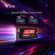 SSD M2 Nvme Evolution 256GB 2242