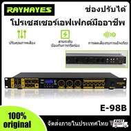 RAYHAYES pre-effector intelligent noise reduction anti-howling high/mid/bass adjustment audio processor