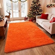 Shag Area Rugs for Bedroom Living Room,8X10 Ultra Soft Fluffy Area Rugs for Dorm,Indoor Carpet Nurse