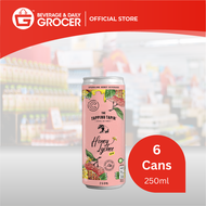 TTT Honey Series - Honey & Lychee 6x250ml