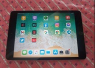 iPad mini 3