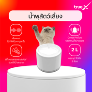 Smart Water Pet Fountain น้ำพุสำหรับสัตว์เลี้ยง