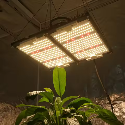 KingBrite 240W LM301H+ XPG3 660nm Chips L390mm*W326mm Double Heatsink LED Grow Light Cover 2X2Ft Are