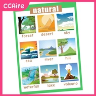 CCAire Kids Toddlers earning Poster Preschool Educational Wall Posters