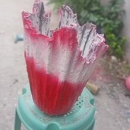 Flower Pots maid in cement