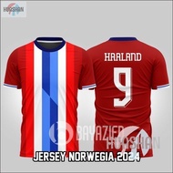 【Free Custom Name & Number】 New Norway JERSEY HAALAND 2025 FULL PRINTING