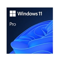 WINDOWS 11 Pro | USB 64 bit / 32 bit | Lifetime Use |  Sealed and Brand New