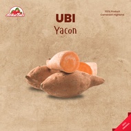 UBI YACON CAMERON HIGHLAND
