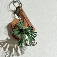 捲捲鹿角蕨_皮革吊飾 / 送禮