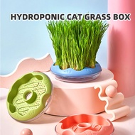 Cat grass Donut potted plant Cat Grass Box Natural Catnip Soil-less Fast Growing Wheat grass Planting Set for Hairball