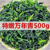 New Product Dried Vegetables, Dehydrated Dried Vegetables, Dried Green Vegetables, Dried Dried Veget