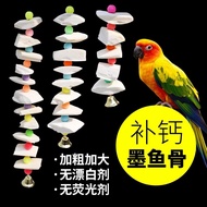 Cuttlefish Bone Grinding Desalted Boxed Parrot Bird Food Hamster Food Pet Molar Snacks Chew Supplies