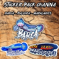 Stiker pack ikan channa 3pcs (barca, pulchra, maru)