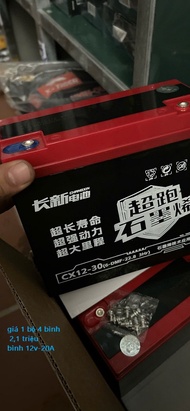ắc quy 12V-30AH nội địa
