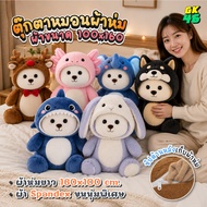 Blanket Pillow Teddy Bear Nano 2in1 Soft Hug Easy To Carry Doll Size 45-47 Cm. 100x160