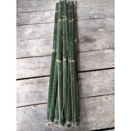 25  batang buluh untuk pancang pokok - bamboo plants stakes-pancang( saiz 100 CM )