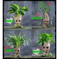 Baby Groot Guardian Of Galaxy Figure Flower Pot/ Pen Holder/ Action Figure