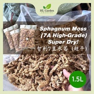 Grade 7A Chile Sphagnum Moss-1.5L (智利7星水苔)