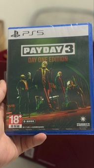 平放 payday3  全新
